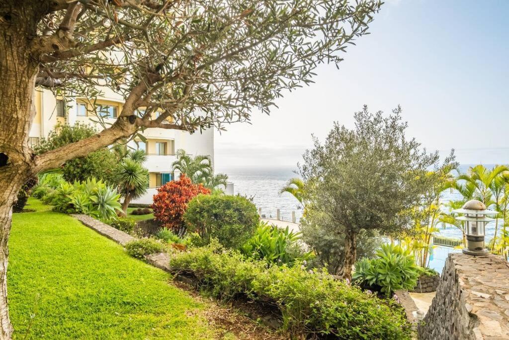 Super Cliff Appartement *